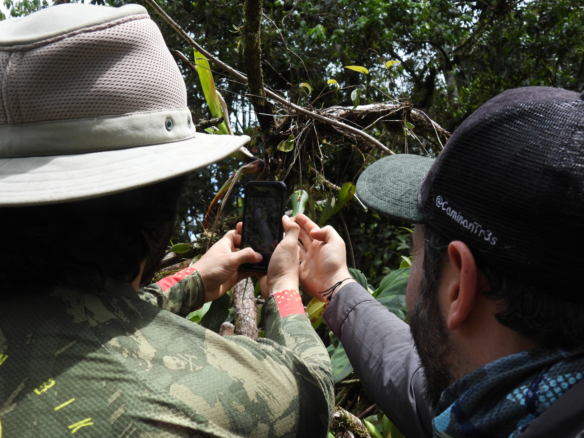 Día 3 - CaminanTr3s